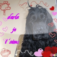 Photo #125125 de Darla