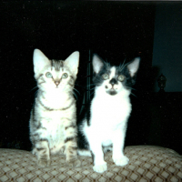 Photo #125185 de Titine