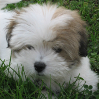 Photo #125251 de Debbie
