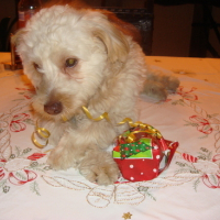 Photo #125359 de Coeurlye