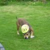 20052009_031