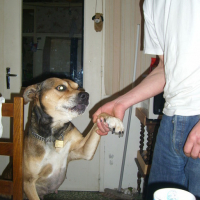 Photo #125371 de Sana