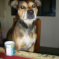 Photo #125377 de Sana