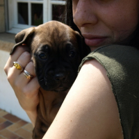 Photo #125437 de Pumpkin