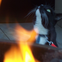 Photo #125803 de Biberon