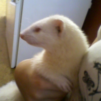 Photo #126295 de Loulou