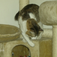 Photo #127021 de Libertin