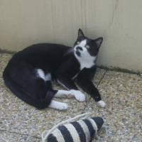 Photo #127159 de Félix