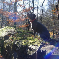 Photo #127303 de Manou