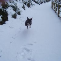 Photo #127315 de Manou