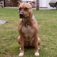 Photo #127459 de Askia