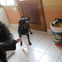 Photo #127603 de Cara