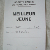 Photo #127819 de D'turok-han des gardiens de cloé