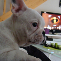 Photo #128030 de Diva