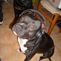 Photo #128551 de Cheitan