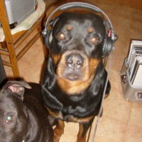 Photo #128557 de Cheitan