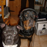Photo #128569 de Cheitan