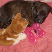 Photo #128785 de Tifa