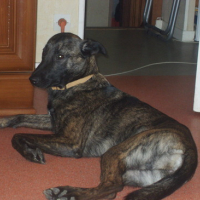 Photo #128791 de Tifa