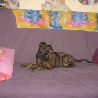 Photo #128929 de Spike