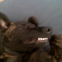 Photo #128947 de Tifa