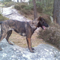Photo #128953 de Tifa