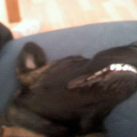 Photo #128959 de Tifa