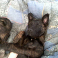 Photo #128965 de Tifa