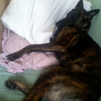 Photo #128983 de Spike