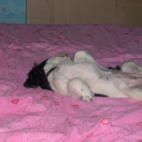 Photo #129367 de Lisa