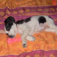Photo #129373 de Lisa