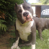 Photo #129583 de Dollar