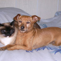 Photo #129787 de Friskette