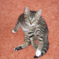 IMGP0846
