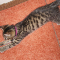 IMGP0896
