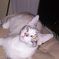 Photo #130309 de Vicky