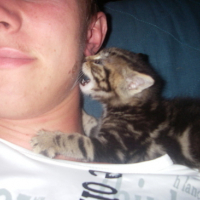 Photo #130387 de Milka