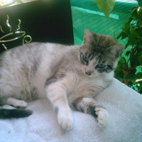 Photo #130393 de Vicky