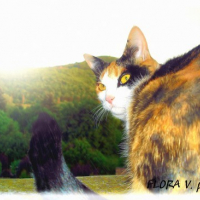 Photo #130645 de Cloé