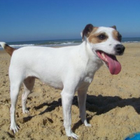 Photo #130843 de Moka