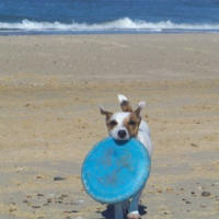 Photo #130855 de Moka