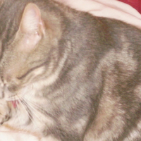 Photo #130867 de Mateo
