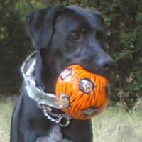 Photo #130963 de Atos