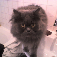 Photo #131077 de Loulou