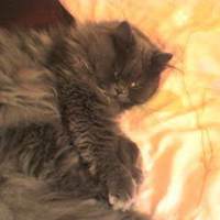 Photo #131083 de Loulou