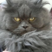 Photo #131089 de Loulou