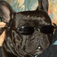 Photo #131215 de Loulou