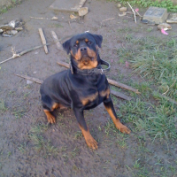 Photo #131401 de Bushka
