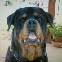 Photo #132091 de Snow