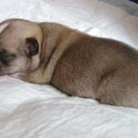 me voila quand j'etai tout tout petit
